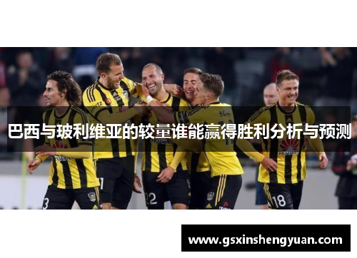 巴西与玻利维亚的较量谁能赢得胜利分析与预测