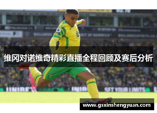 维冈对诺维奇精彩直播全程回顾及赛后分析
